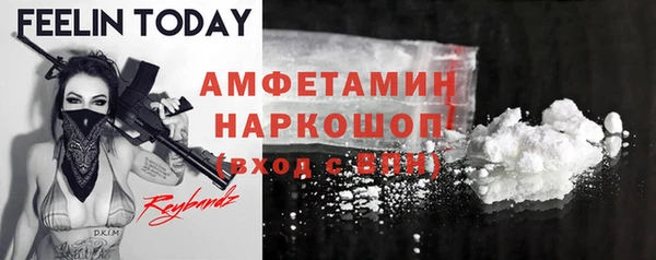 прущие грибы Богданович