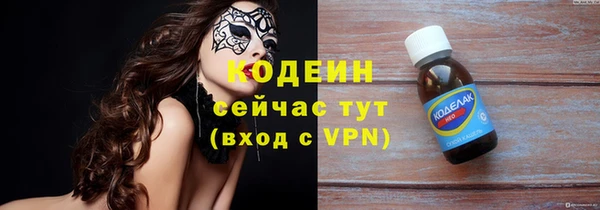 прущие грибы Богданович