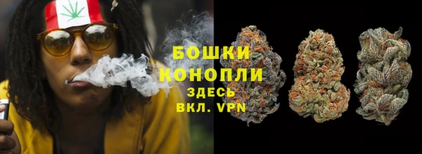 стаф Богородск