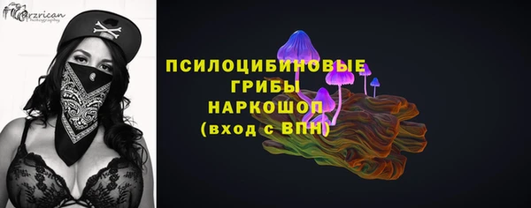 прущие грибы Богданович