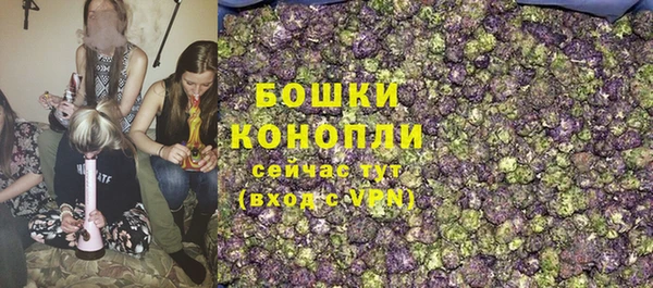 хмурый Осинники