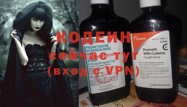 прущие грибы Богданович