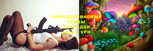 твердый Богородицк