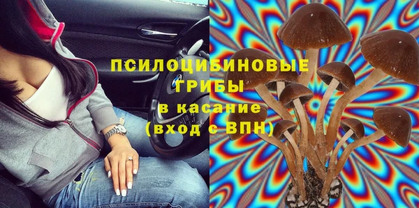 стаф Богородск