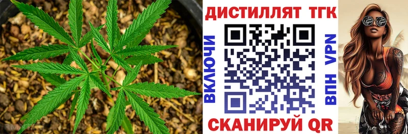 Дистиллят ТГК концентрат Мончегорск